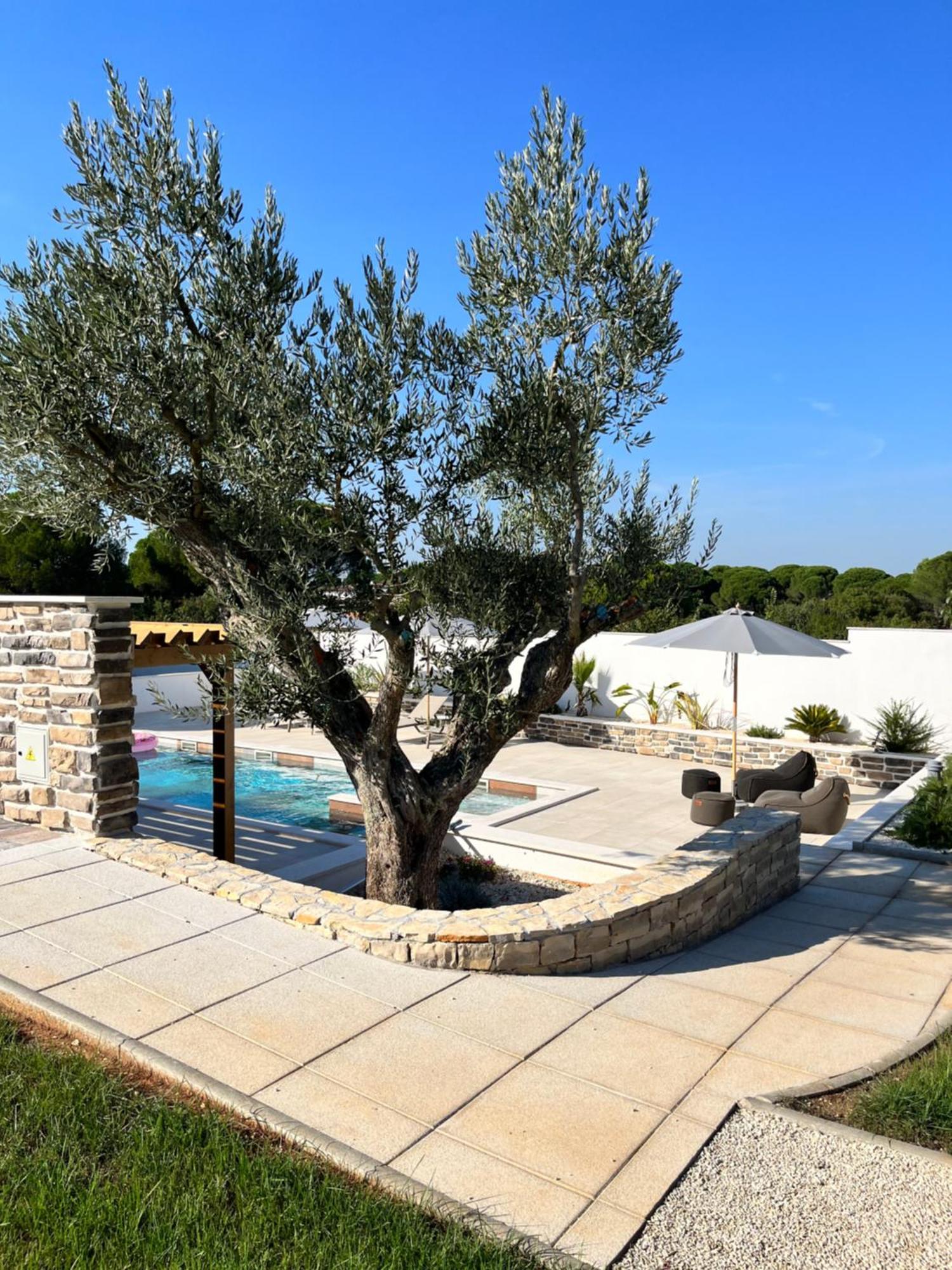 Olivea Luxury Suites 法扎纳 外观 照片